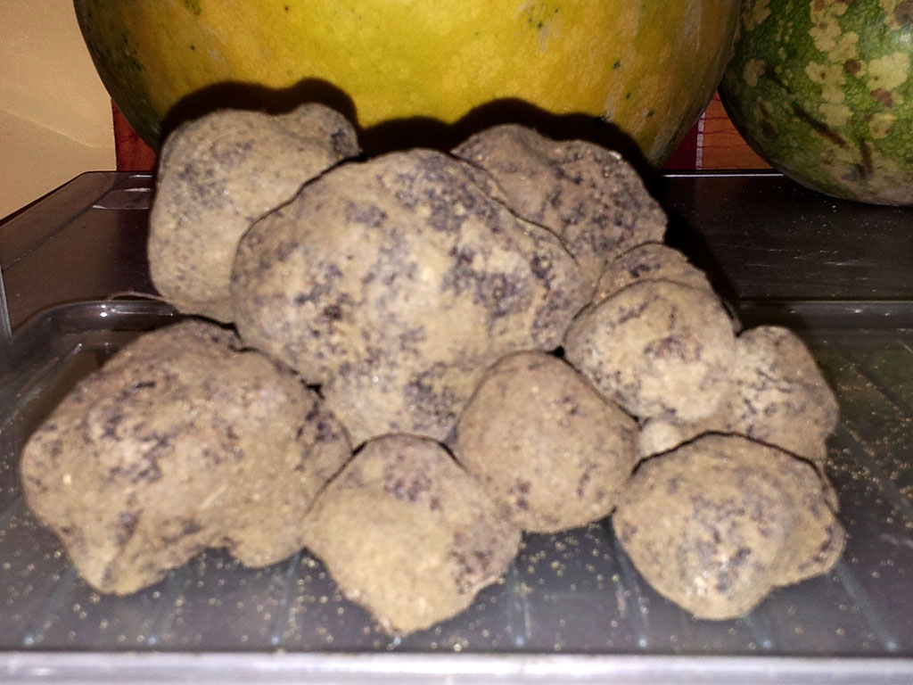 La récolte des truffes